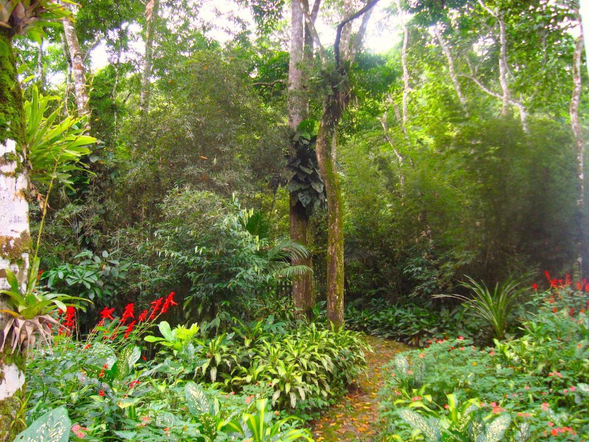 Eco-Flats Cachoeira Azul Araquari Eksteriør billede